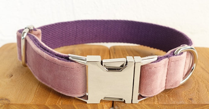 Luxe Pet Leash & Collar