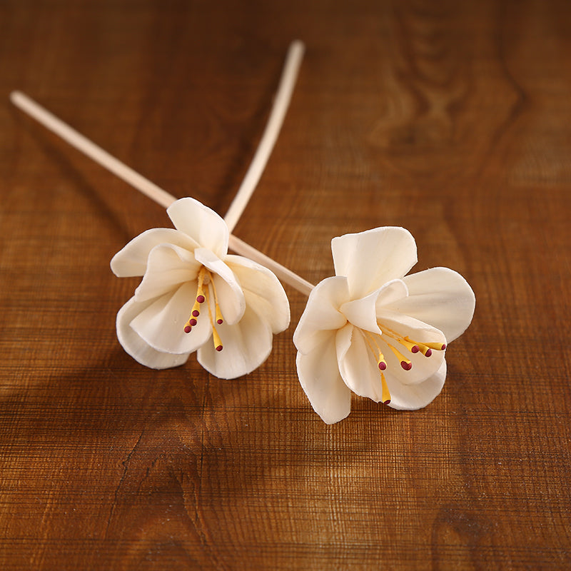 Dried Flower Fire-Free Aromatherapy Essential Oil Diffuser Stick