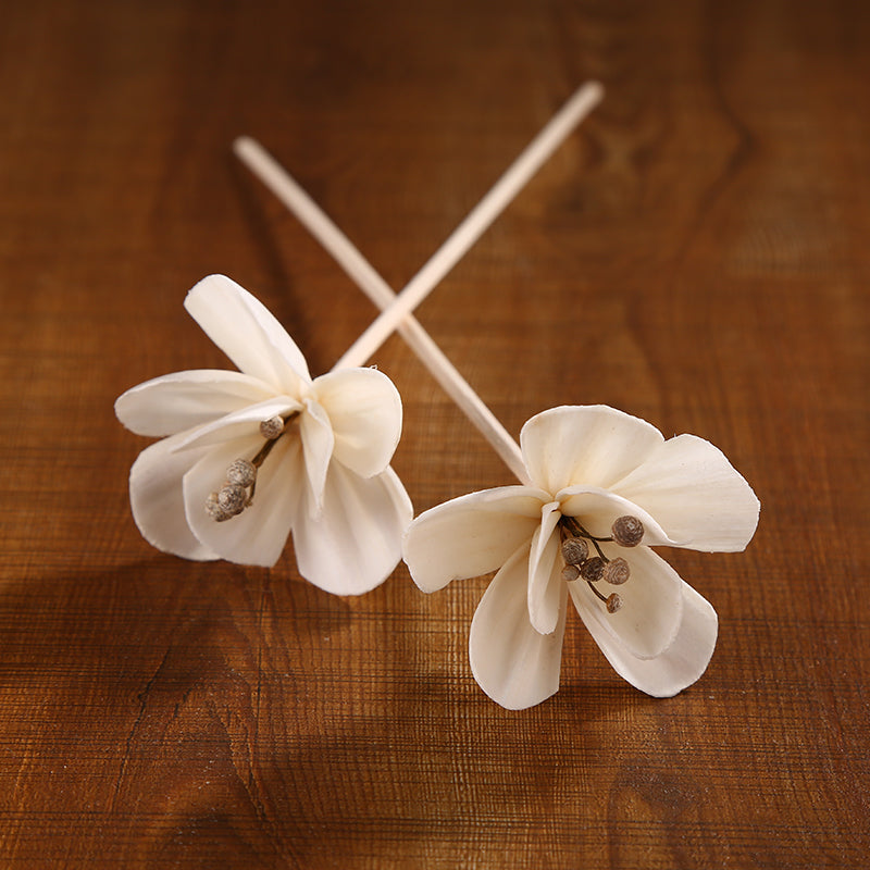 Dried Flower Fire-Free Aromatherapy Essential Oil Diffuser Stick