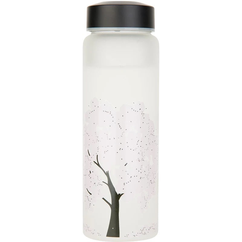 Color Changing Glass Water Bottle