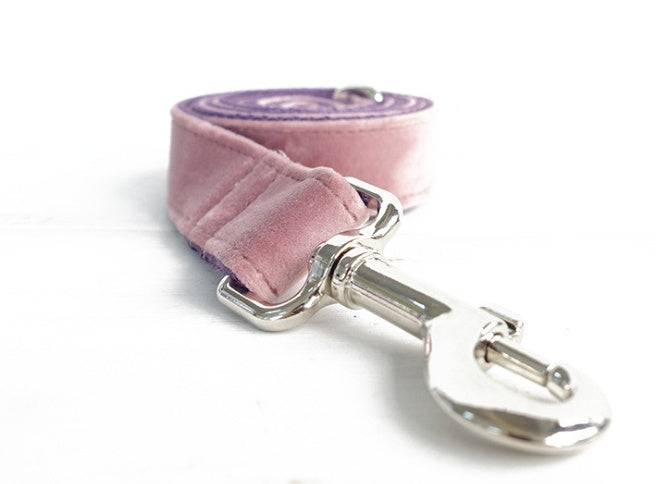 Luxe Pet Leash & Collar