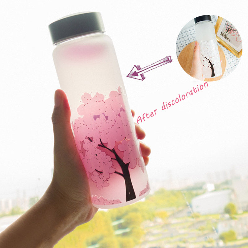 Color Changing Glass Water Bottle
