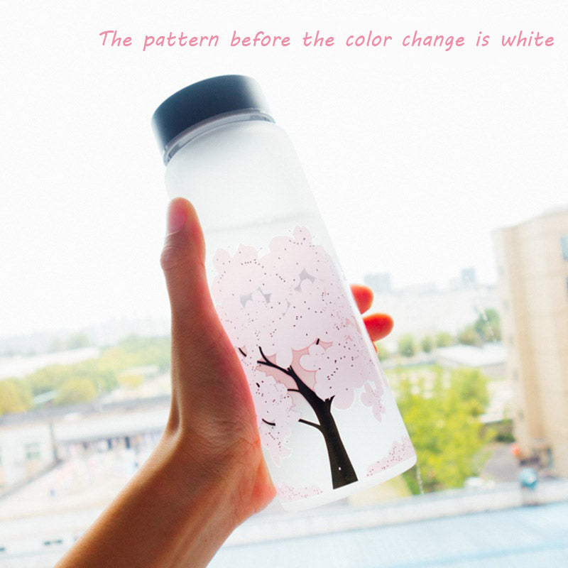 Color Changing Glass Water Bottle
