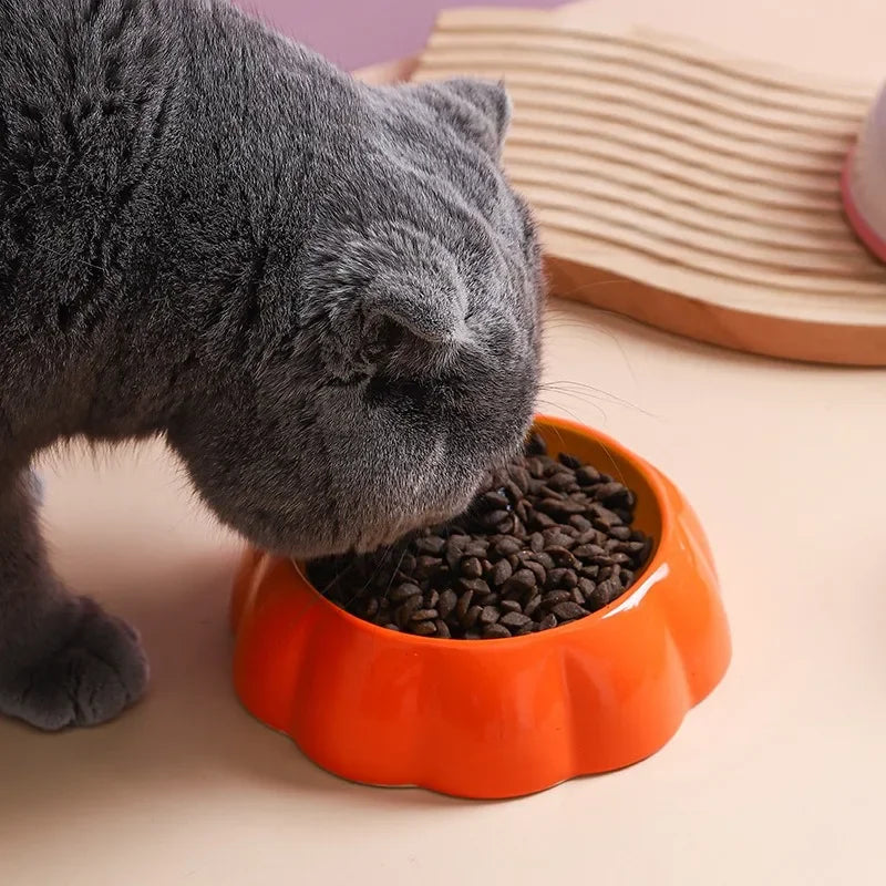 Ceramic Pet Bowl, Fruit Design Food and Water Bowl for Cats and Small Pets